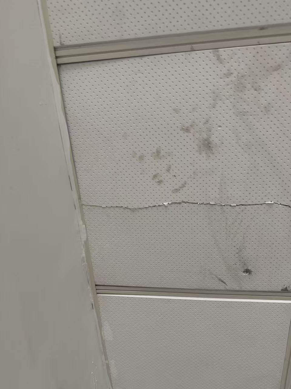 施工前