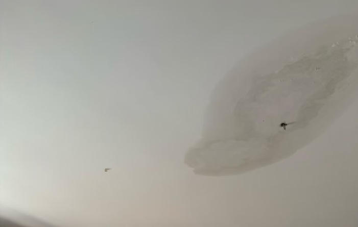 房屋漏水维修别急着动工!先理清这些关键信息再施工