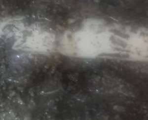 楼上没人住的房子在渗水，漏点会藏在哪里