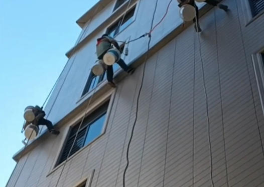 持证师傅双重上岗：防水施工证和高空作业证怎么核验真伪